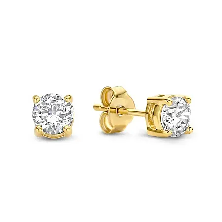 Earrings Stainless Steel-E-Gold